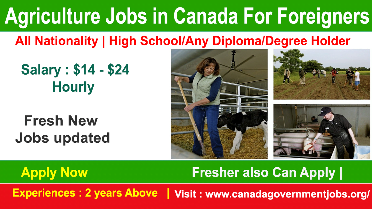 Agriculture Jobs in Canada For Foreigners With Sponsorship
