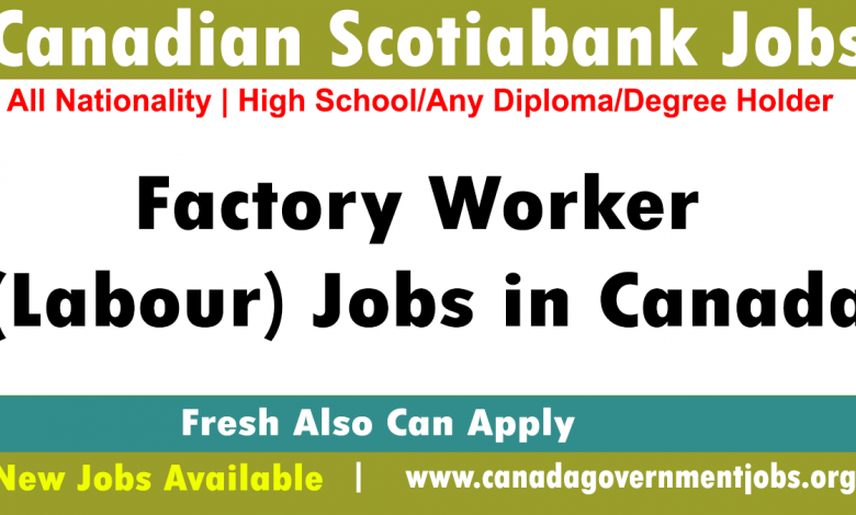 Canadian Scotiabank Jobs 2023 Announced-Submit Your CV
