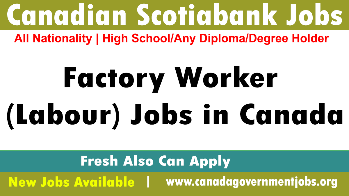 Canadian Scotiabank Jobs 2023 Announced-Submit Your CV