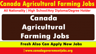 Canada Agricultural Farming Jobs 2023 With Free Job VISA-Apply Currently