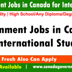 Government Jobs in Canada for International Students 2023-2024